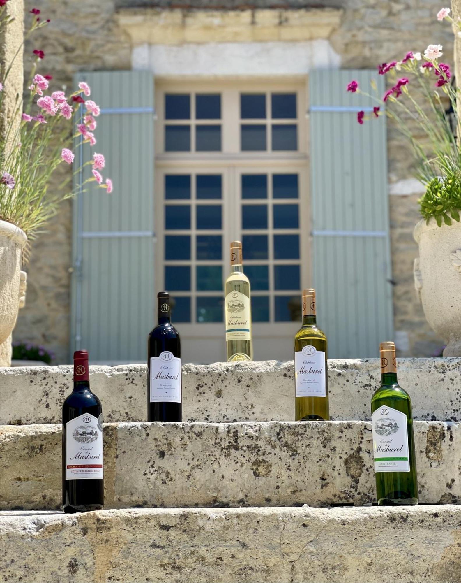 Chateau Masburel Fougueyrolles エクステリア 写真